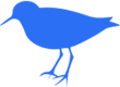 healthPiper